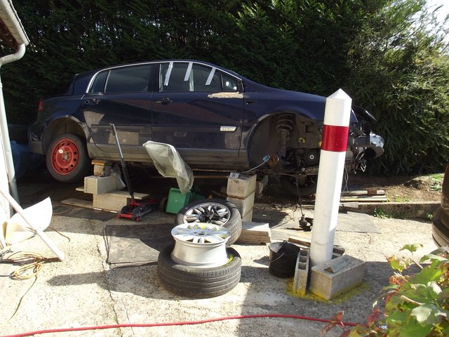 DSCF5848 (1).JPG