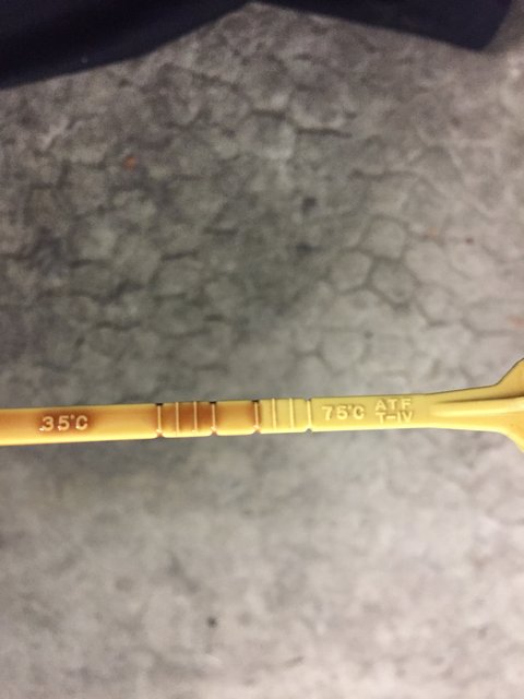 IMG_3315.JPG (1.2 Mio) Vu 20096 fois IMG_3315.JPG