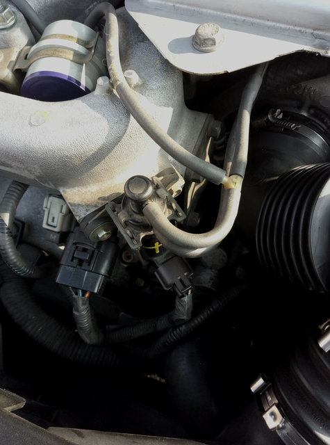 P80515-183512.jpg (3.17 Mio) Vu 7073 fois P80515-183512.jpg