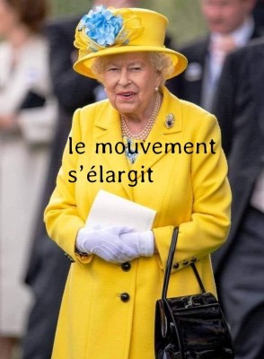 Gilet jaune.jpg