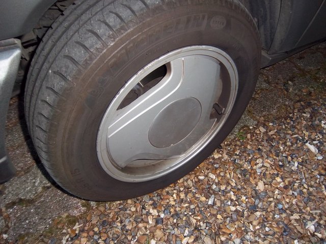 IMGP5398.JPG