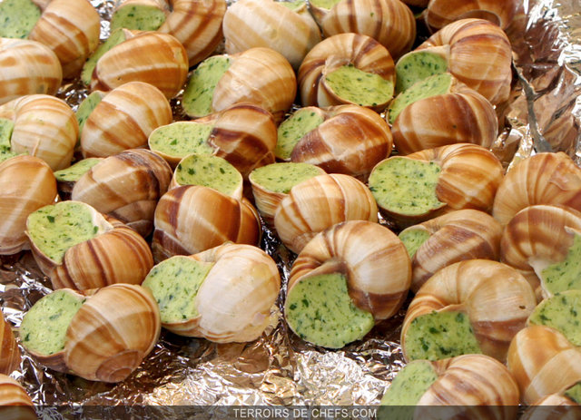 Terroirs-de-Chefs-la-Bourgogne-Escargots-de-Bourgogne_zoom.jpg