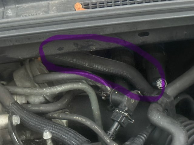 IMG_0362.jpeg (464.66 Kio) Vu 783 fois IMG_0362.jpeg