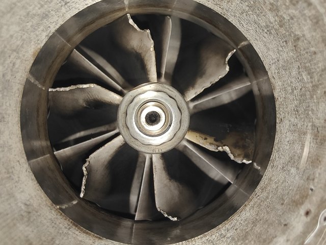 IMG20260605190105.jpg