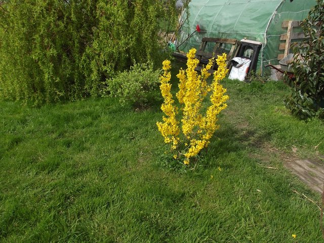 DSCF5482.JPG